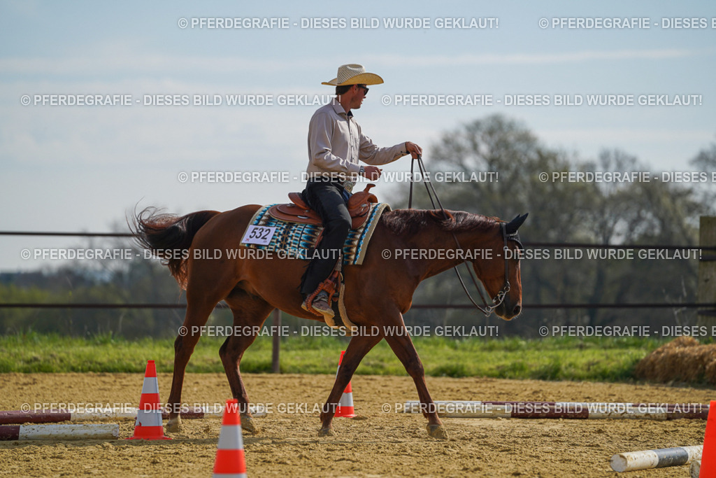 DSC01551 | Pferdegrafie