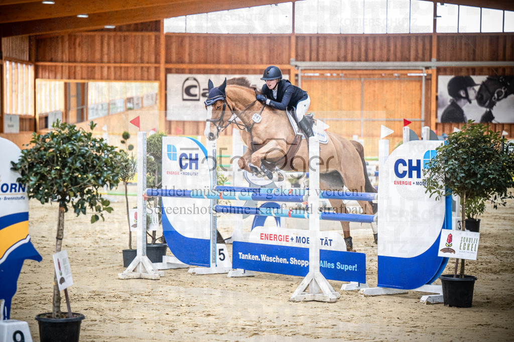 DOS_0397 | Entdecke hochwertige Reitturnierfotos von Foto Oger. Professionell, emotional und authentisch – jetzt Lieblingsmomente im Shop bestellen.Deutschlandweite Turnierfotografie. - Realisiert mit Pictrs.com