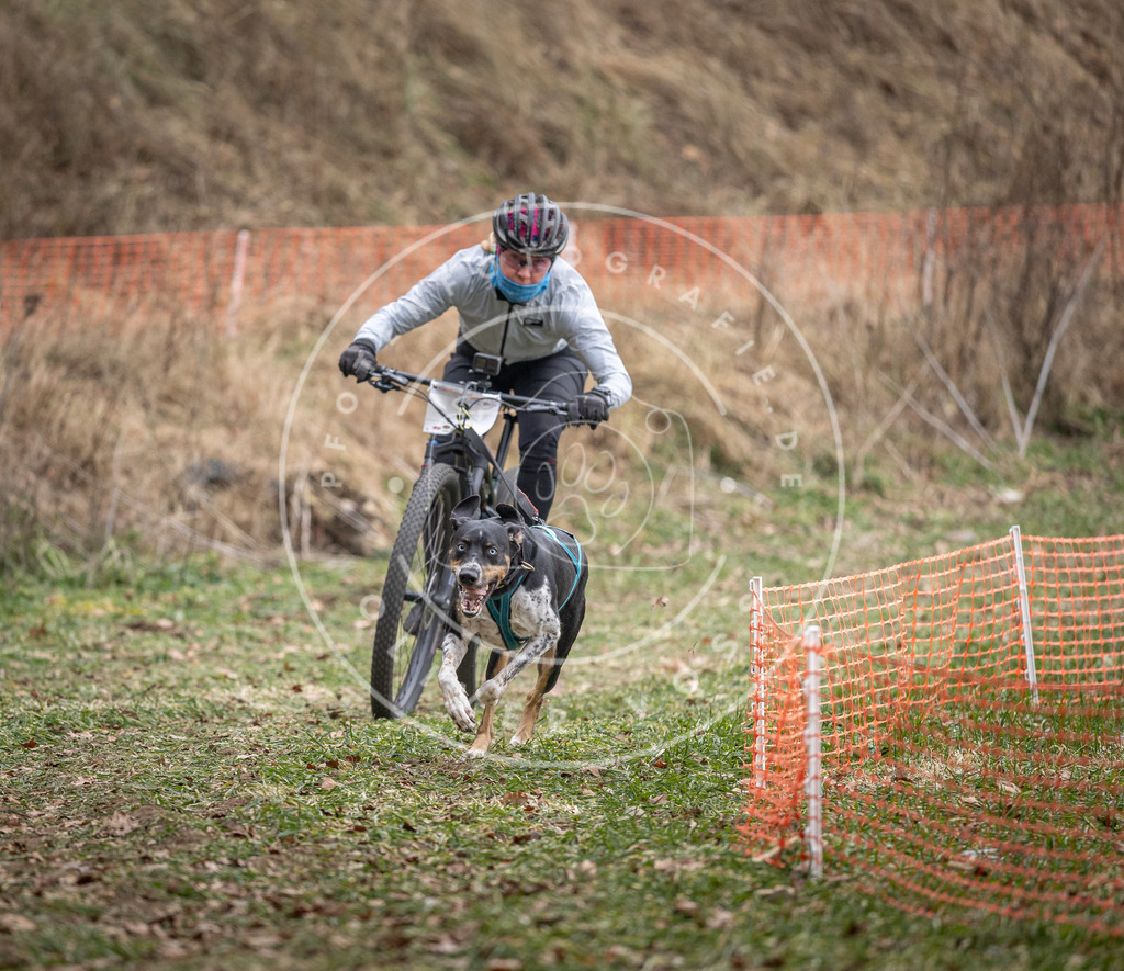 Pfotenfotografie_DV3A6205 | Hundefotografie, Tierfotograf, Pfotenfotografie, Fotoshooting Hund, Hunde Portrait, Hundesport, Hundeportraits, Heideshooting, Hunde, Sportfotograf, Hundefotograf, Turnierhundsport, THS,  - Realisiert mit Pictrs.com