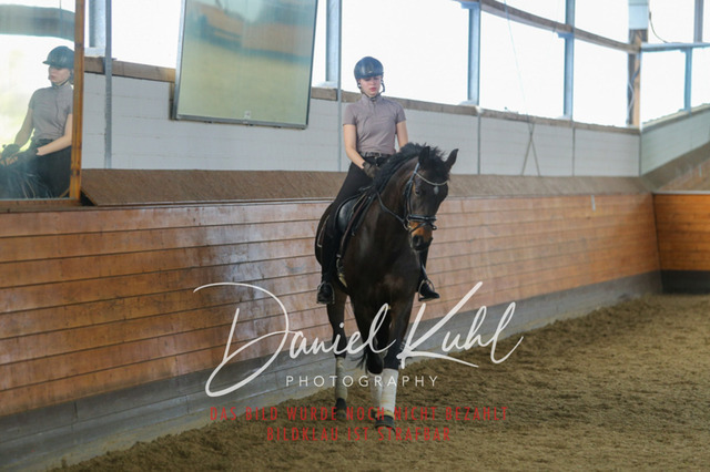IMG_3512 | Turniersportfotografie; Pferdefotografie; Dressurfotografie