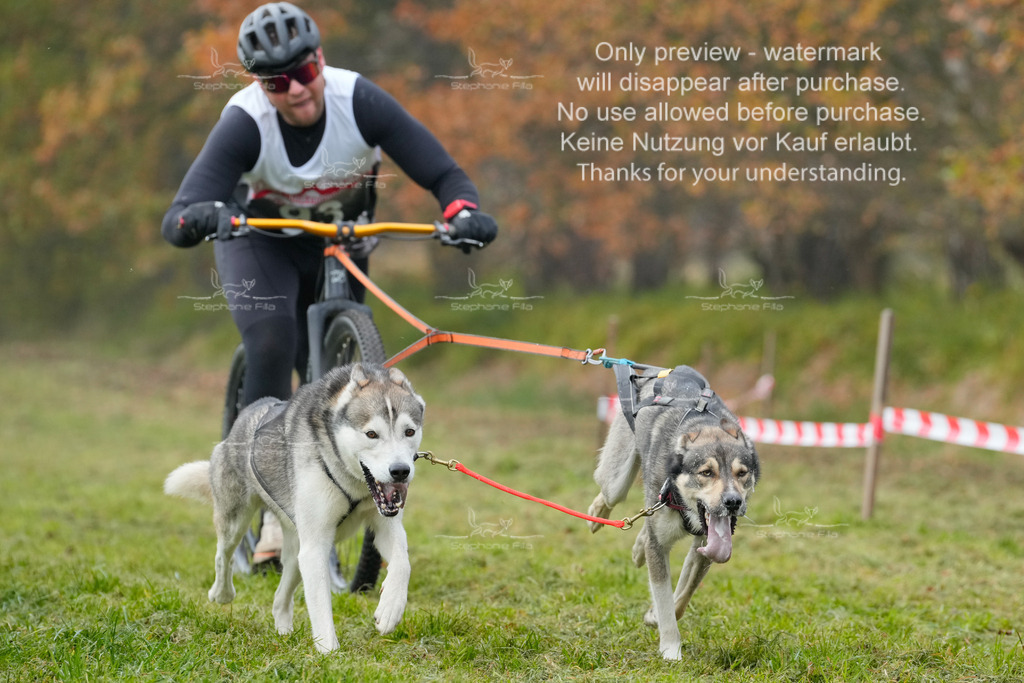 AusschnitteSa-167 | stephaniefillaphotographie - Realisiert mit Pictrs.com