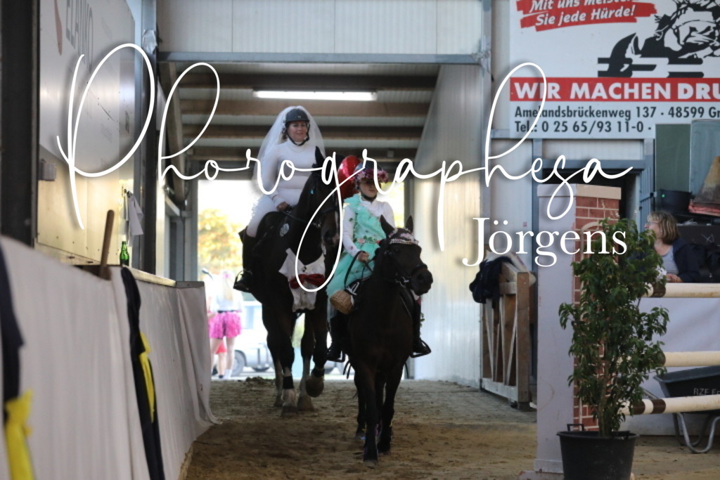 IMG_1754 | photographesa-joergens - Realisiert mit Pictrs.com