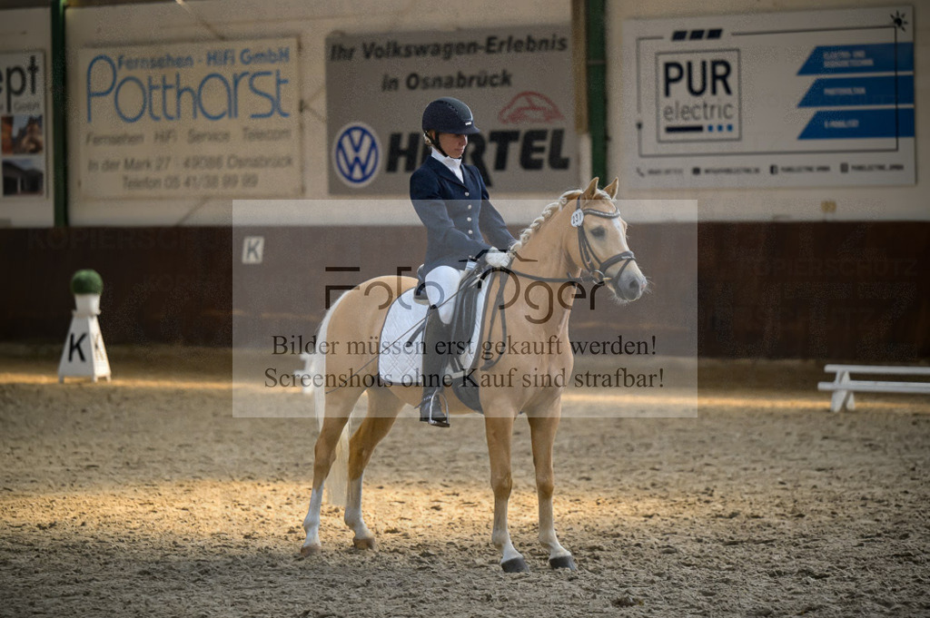 Reitturnier Voxtrup | Entdecke hochwertige Reitturnierfotos von Foto Oger. Professionell, emotional und authentisch – jetzt Lieblingsmomente im Shop bestellen.Deutschlandweite Turnierfotografie. - Realisiert mit Pictrs.com