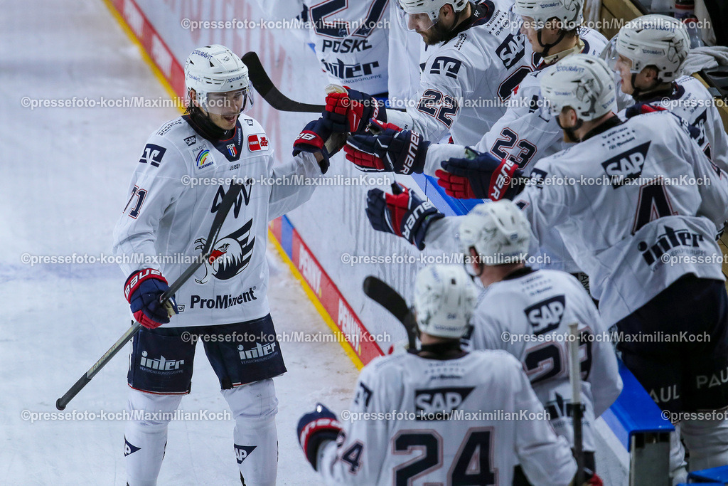 KoeDEL08032401073 | 08.03.2024, Köln, Eishockey, Penny DEL, 52. Spieltag, Lanxess-Arena, Kölner Haie - Adler Mannheim: Torjubel nach dem 6:1 Siegtreffer durch Daniel Fischbuch (Adler Mannheim)