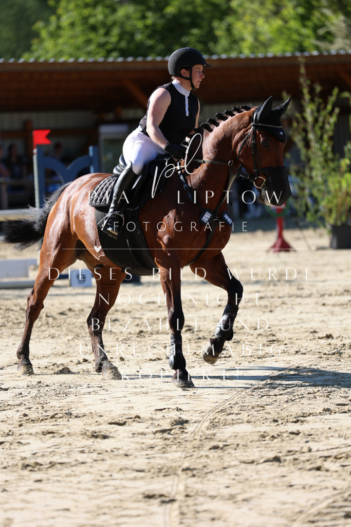 IMGS5622 | pl-fotografie