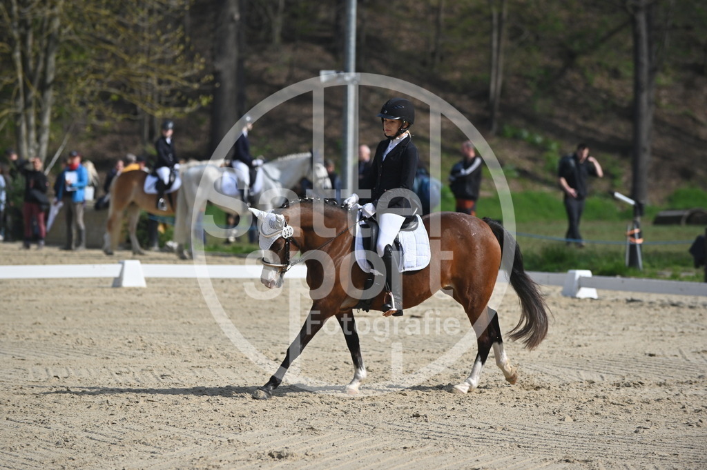 DSC_0496 | sattelsport - Realisiert mit Pictrs.com