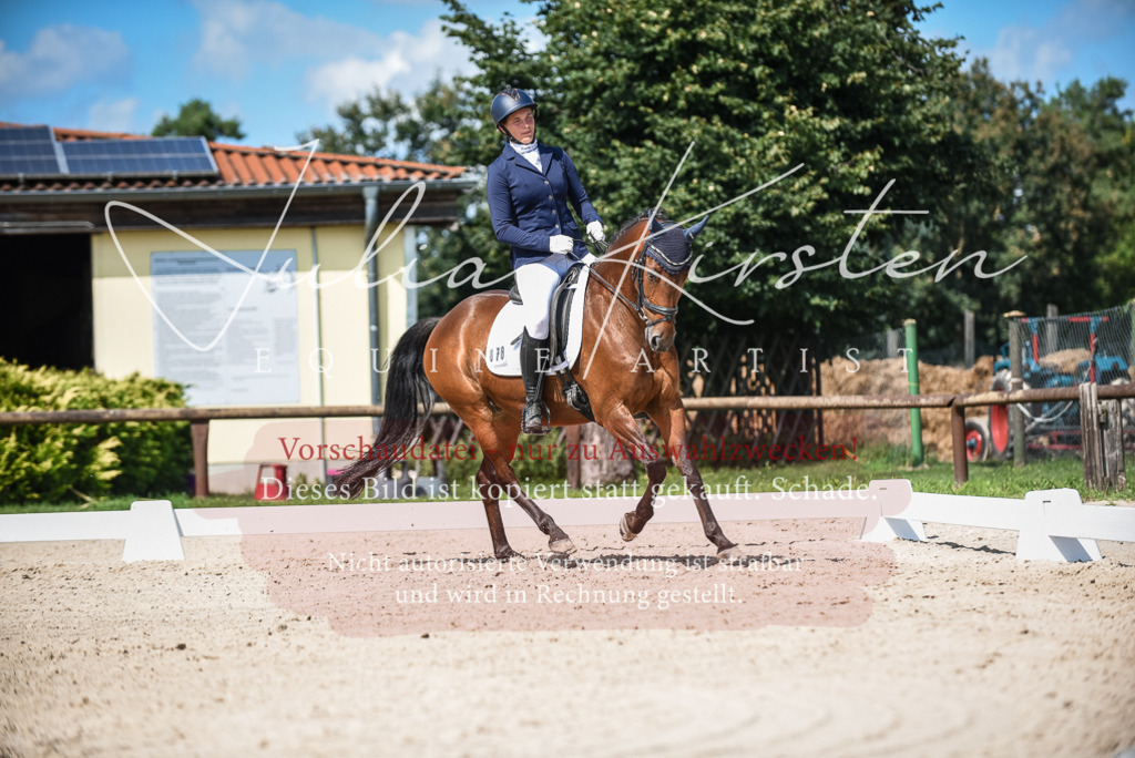 DSC_9454 | Pferde- und Turnierfotografie in Westsachsen. Pferdeportraits, Auftragszeichnungen und intuitive Kunst.
