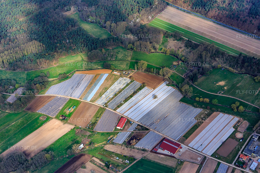 Luftbild: Spargelanbau unter Folien am Atzelhof in Dudenhofen im Bundesland Rheinland-Pfalz in Deutschland. Foto: IMG_076846.jpg vom 12.04.2015 durch Werner Riehm/FLY-FOTO.de