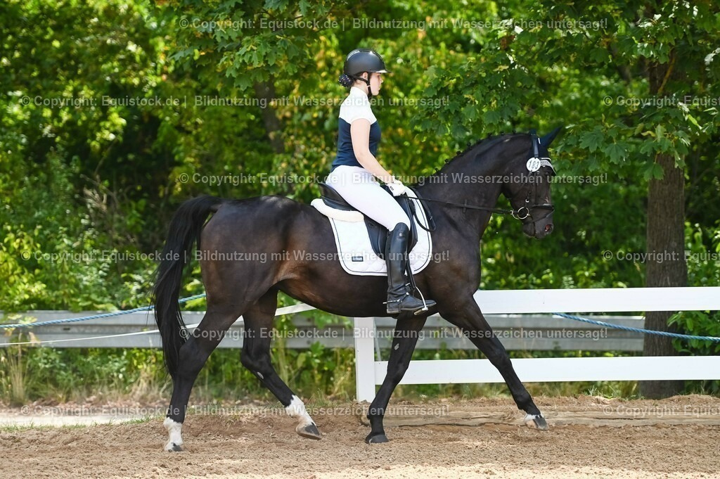 20230715_09_Dressur-WB_0208 | equistock