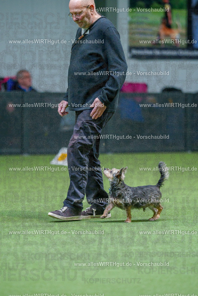 7R506118 | Professionelle Tierfotografie in Mönchengladbach von Daniel Wirth (allesWIRTHgut). Liebevolle & natürliche Bilder von Hunden & Katzen für unvergessliche Erinnerungen.