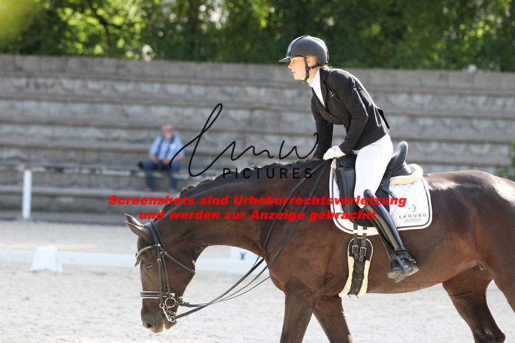 IMG_5805 | lmwpictures - Realisiert mit Pictrs.com