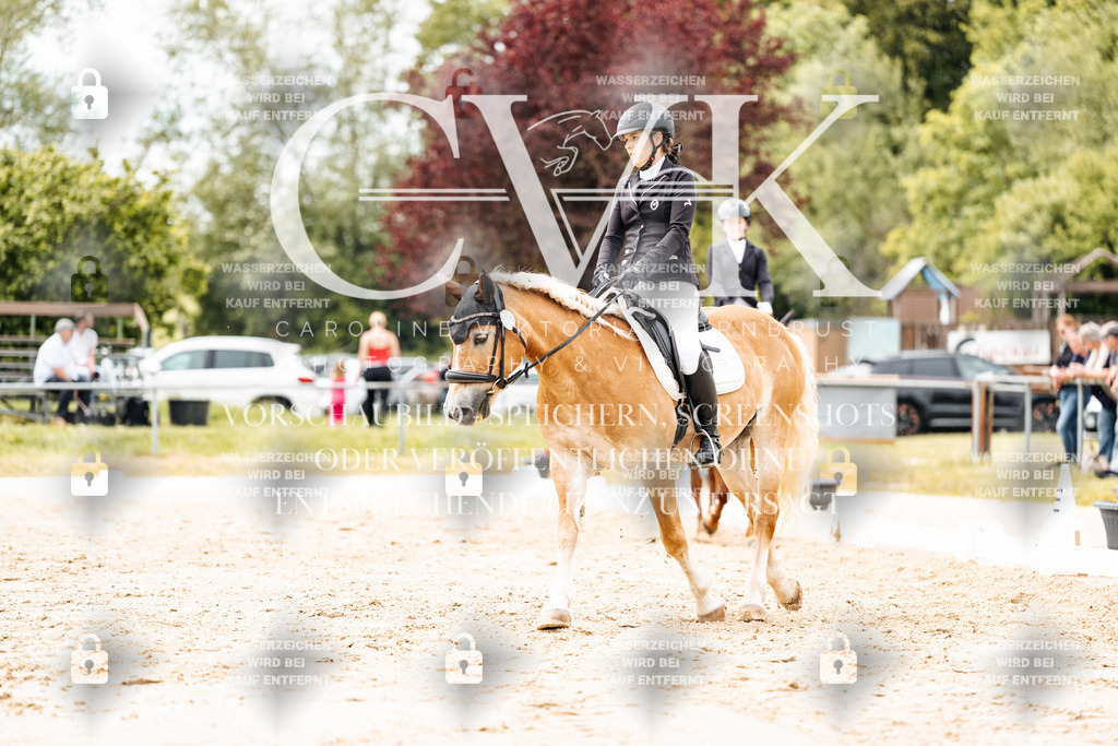 CK903000 | Turnierfotografie Pferdefotografie Trier Rheinland-Pfalz Pferdesport Reitsport Tierfotografie Sportfotografie Pferdevideo Pferdevideografie Equestrianvideography equestrianphotography  - Realisiert mit Pictrs.com