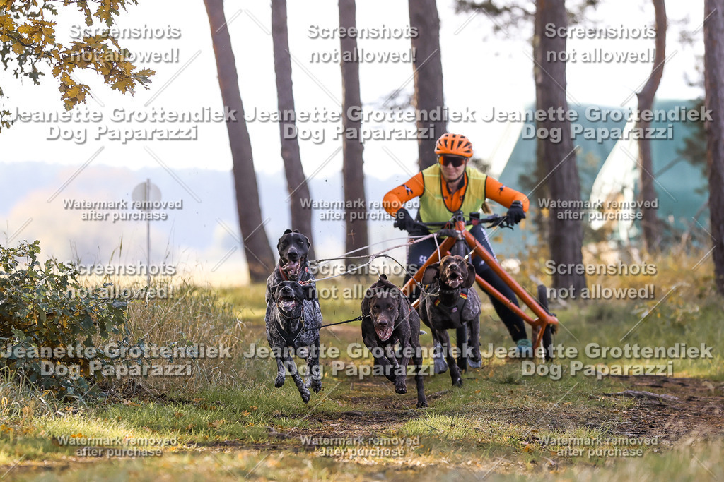 Dog Paparazzi - Elsholz 25 -83 | Dog Paparazzi Jeanette Grottendiek Fotografie & Videografie - Realisiert mit Pictrs.com