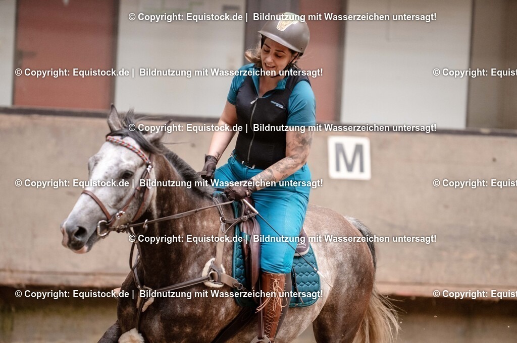 20250725_Vielseitigkeitslehrgang-Marbach_0218 | Foto: Thomas Hartig