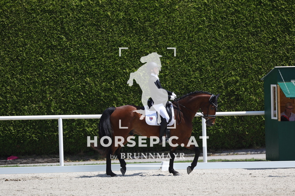 0P6A5847 | Willkommen bei Brunnmayr - Design & Fotografie – Ihrem Spezialisten für Reitturniere und Pferdeveranstaltungen in Oberösterreich, Salzburg und Bayern! Seit über 17 Jahren sind wir leidenschaftlich dabei.