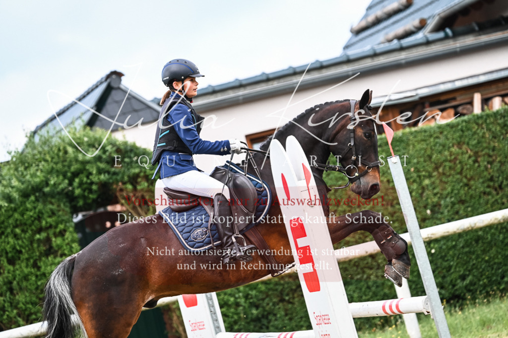 DSC_8237 | Pferde- und Turnierfotografie in Westsachsen. Pferdeportraits, Auftragszeichnungen und intuitive Kunst.
