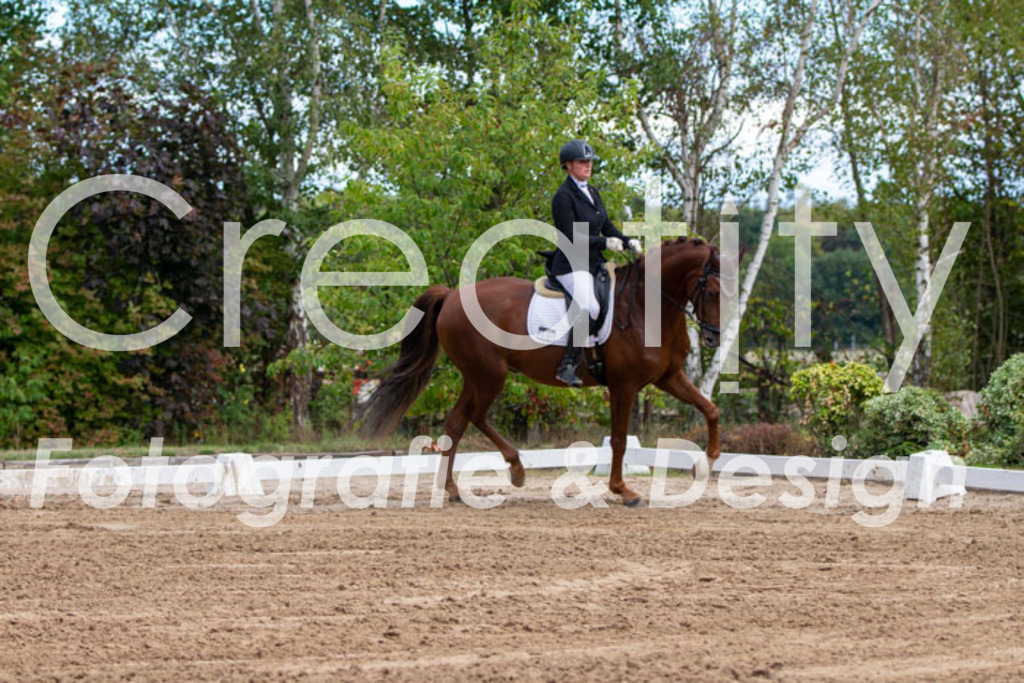 IMG_3804 | Creatify Fotografie