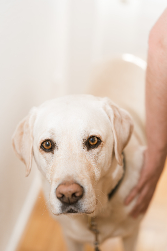 ZD260215150607 | Fotoshop von zweidimensional Fotografie. Ihr Fotograf im Aargau. Abzüge von Ihrem Fotobox Event bestellen.Abzüge von Ihrem Hochzeit bestellen.Abzüge von Ihrem Schulfotograf bestellen.