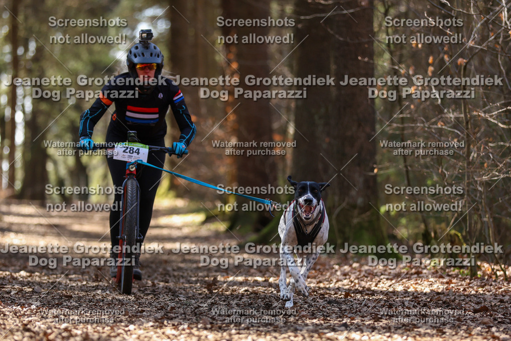 Dog Paparazzi - VCC26-1334 | Dog Paparazzi Jeanette Grottendiek Fotografie & Videografie - Realisiert mit Pictrs.com