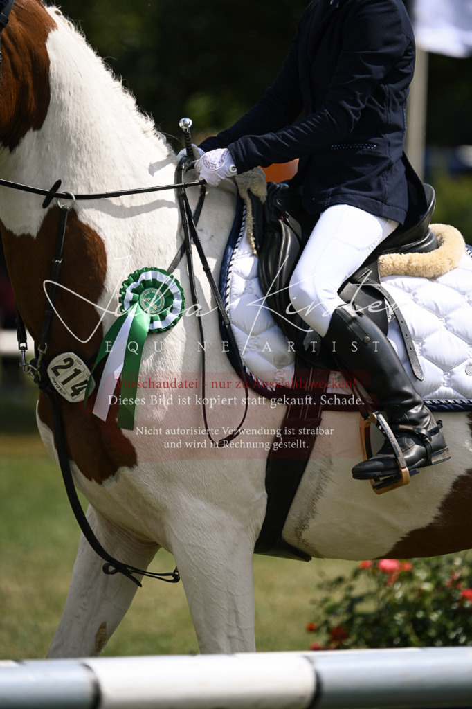DSC_9196 | Pferde- und Turnierfotografie in Westsachsen. Pferdeportraits, Auftragszeichnungen und intuitive Kunst.