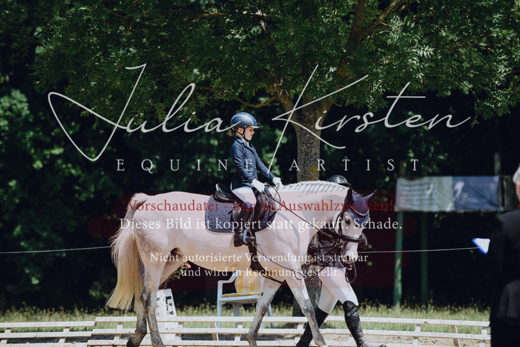 DSC_2097 | Pferde- und Turnierfotografie in Westsachsen. Pferdeportraits, Auftragszeichnungen und intuitive Kunst.