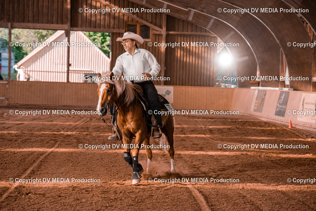 NE201306 | dv-media-shop - Realisiert mit Pictrs.com