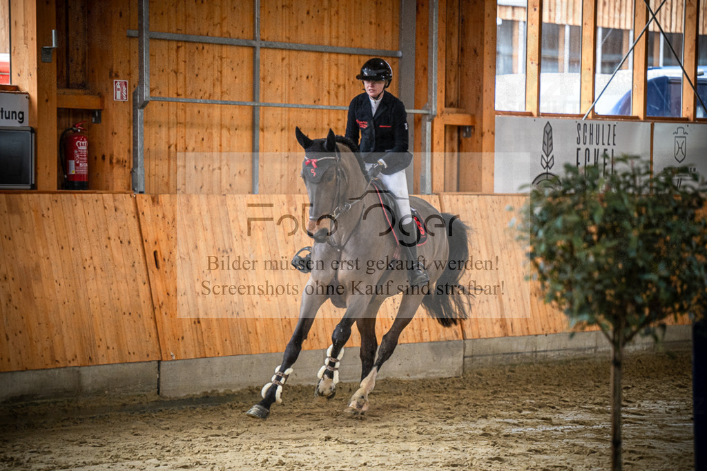 DOS_0624 | Entdecke hochwertige Reitturnierfotos von Foto Oger. Professionell, emotional und authentisch – jetzt Lieblingsmomente im Shop bestellen.Deutschlandweite Turnierfotografie. - Realisiert mit Pictrs.com