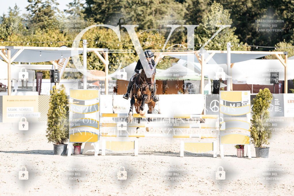 CK902141 | Turnierfotografie Pferdefotografie Trier Rheinland-Pfalz Pferdesport Reitsport Tierfotografie Sportfotografie Pferdevideo Pferdevideografie Equestrianvideography equestrianphotography  - Realisiert mit Pictrs.com