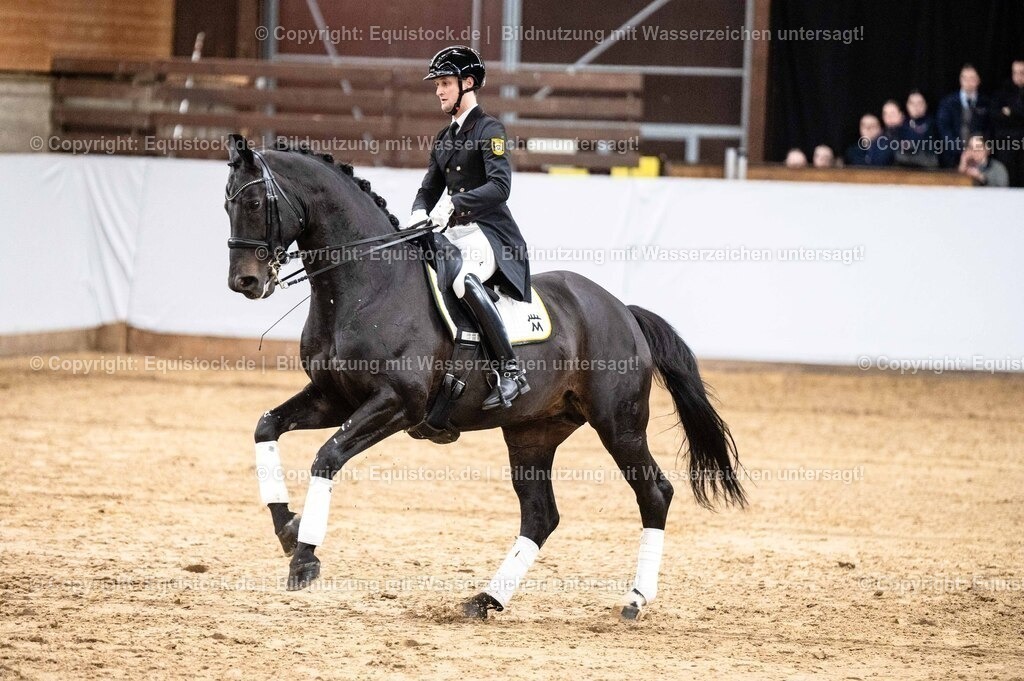 20260307_Hengstvorstellung-Marbach_0503 | equistock