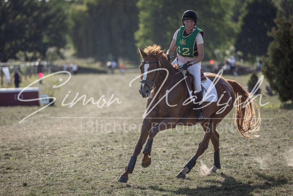 20250907-_3LI4422 | Tierfotografie Pferde, Hunde, Katzen, Haustiere.
Turnierfotografie Reitturniere, Reiten, Springreiten, Dressur in Hanau, dem Main-Kinzig-Kreis und dem Rhein-Main- Gebiet um Frankfurt