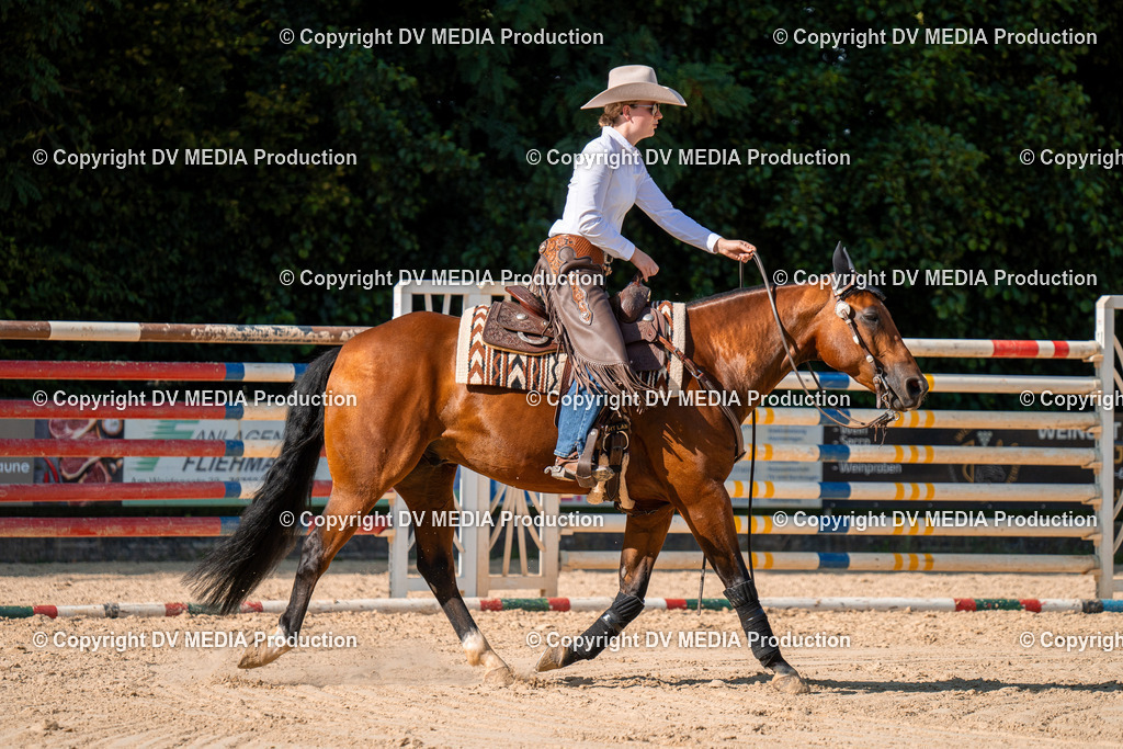 ZH100757 | dv-media-shop - Realisiert mit Pictrs.com