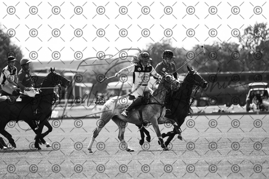 POL_2304-2 | andre_photographic