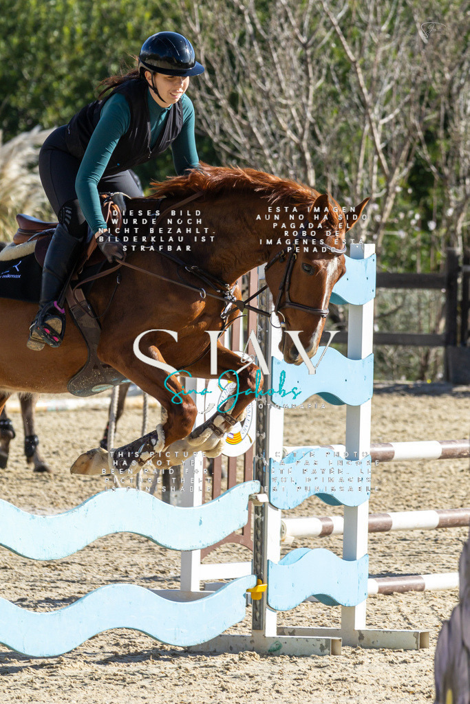 IMG_3637 | s-jay-photography - Realisiert mit Pictrs.com