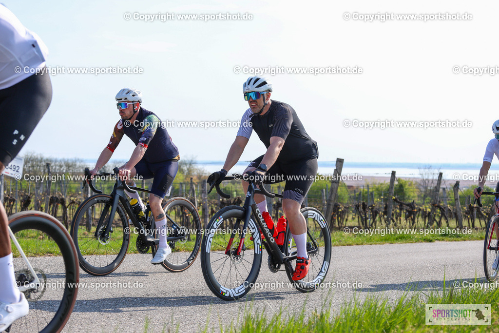 IMG_1054 | @sportshot_your_pictrs #yourpictures#roadtowm2029 #nrm #neusiedlerseeradmarathon #neusiedlersee #neusiedlerseetourismus #burgenland #mörbisch #nrm26 #burgenlandtourismus #voglundco #poweredbyburgenlandtourismus #radsport #rad #marathon #ucigranfondo #visitburgenland #ucigranfondoworldseries