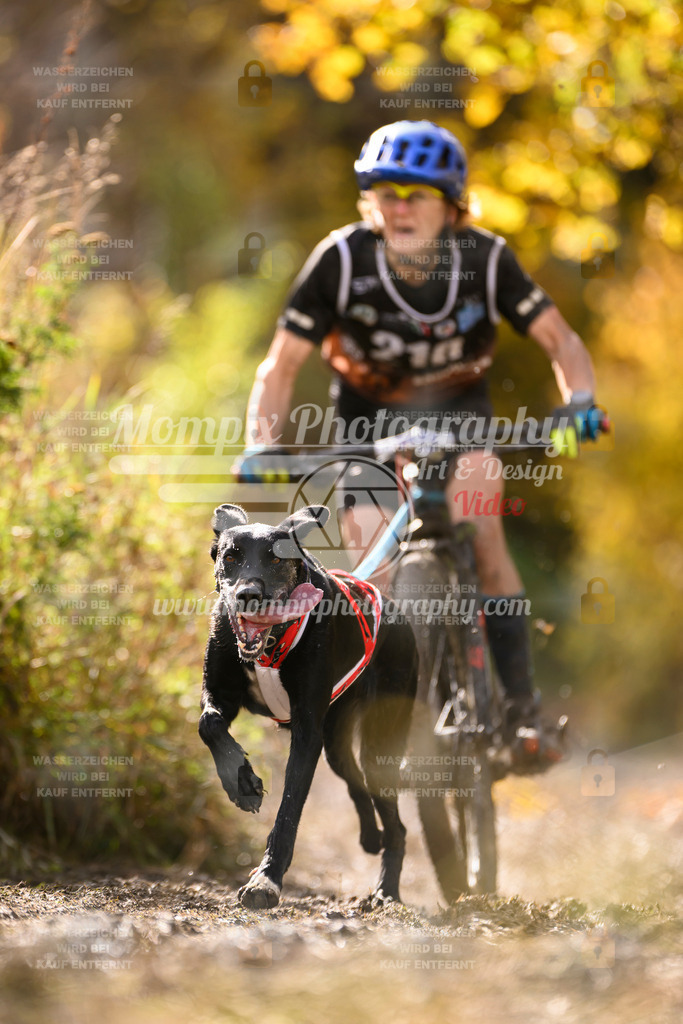 MompixPhotography_ICF_WC_2024_SA_Bike_-343 | PayLife