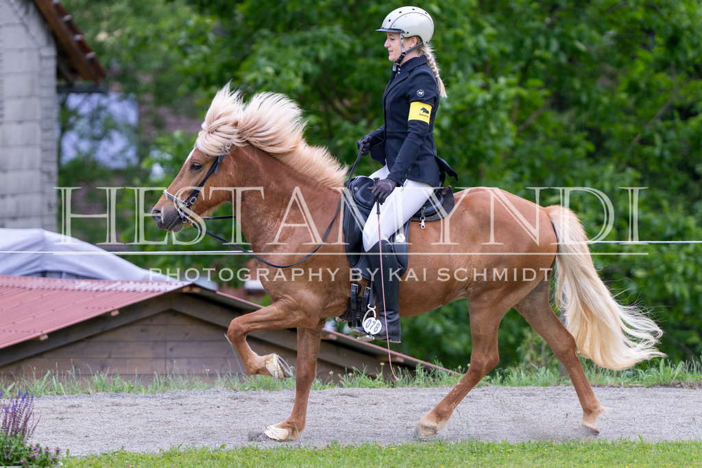KAI01180 | Ihr sucht einen Fotografen für eure nächste OSI? Ich begleite auch euer Turnier für Islandpferde fotografisch.  - Realisiert mit Pictrs.com