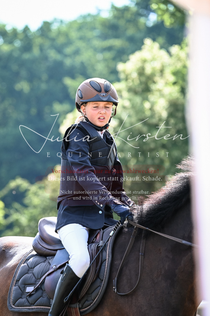 DSC_7972 | Pferde- und Turnierfotografie in Westsachsen. Pferdeportraits, Auftragszeichnungen und intuitive Kunst.