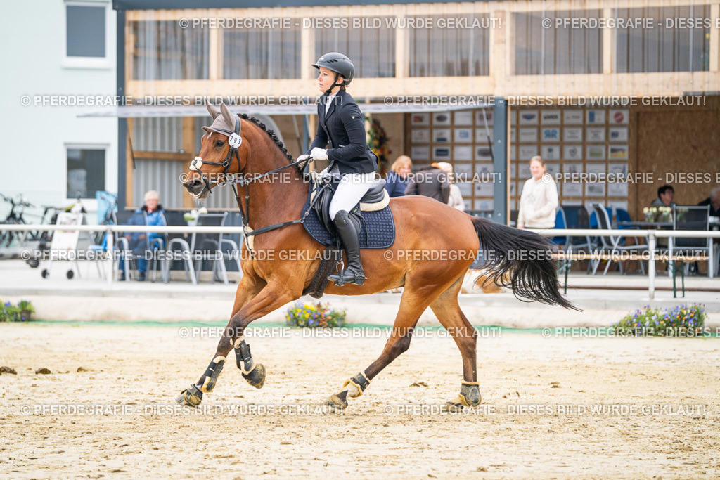 DSC09861 | Pferdegrafie