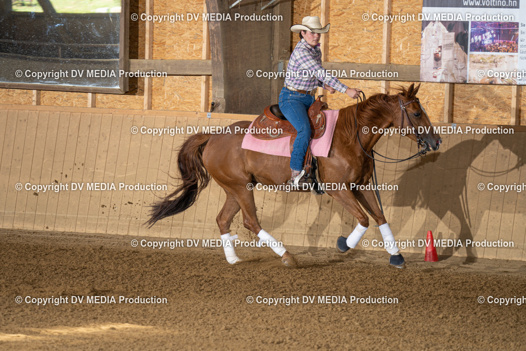 DSC00122 | dv-media-shop - Realisiert mit Pictrs.com