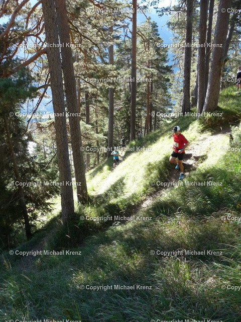 P1010969 | Michael Krenz