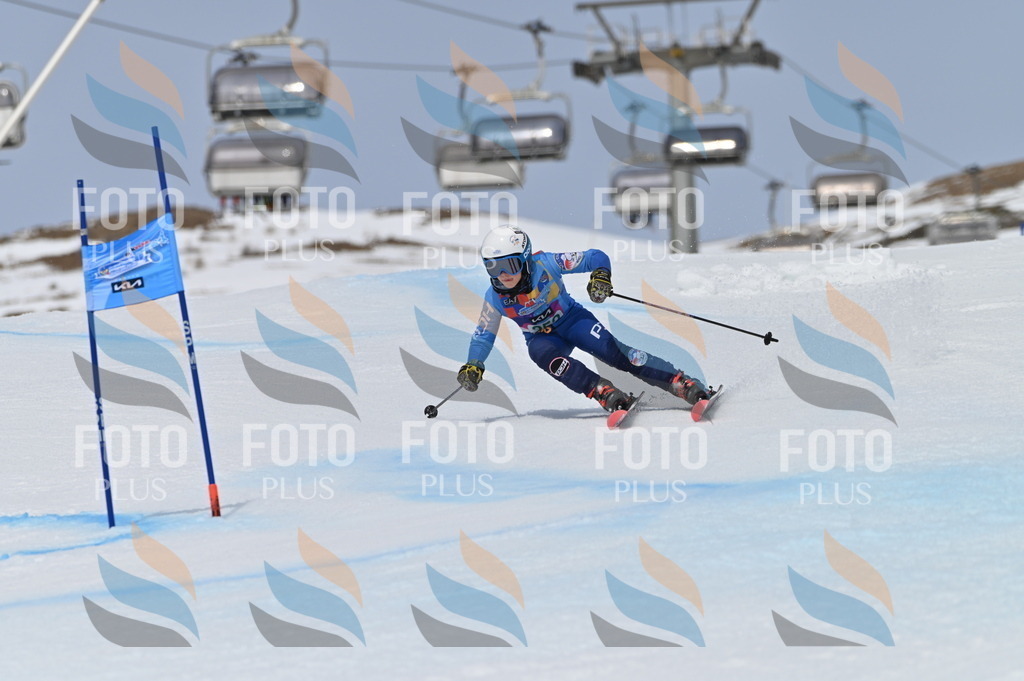 BGV_4994 | holidayphoto