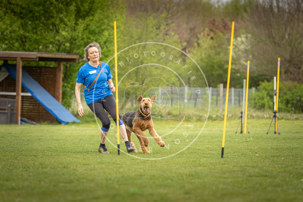 Pfotenfotografie_DV3A7530 | Hundefotografie, Tierfotograf, Pfotenfotografie, Fotoshooting Hund, Hunde Portrait, Hundesport, Hundeportraits, Heideshooting, Hunde, Sportfotograf, Hundefotograf, Turnierhundsport, THS,  - Realisiert mit Pictrs.com