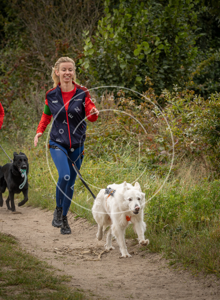 Pfotenfotografie_DV3A7991 | Hundefotografie, Tierfotograf, Pfotenfotografie, Fotoshooting Hund, Hunde Portrait, Hundesport, Hundeportraits, Heideshooting, Hunde, Sportfotograf, Hundefotograf, Turnierhundsport, THS,  - Realisiert mit Pictrs.com