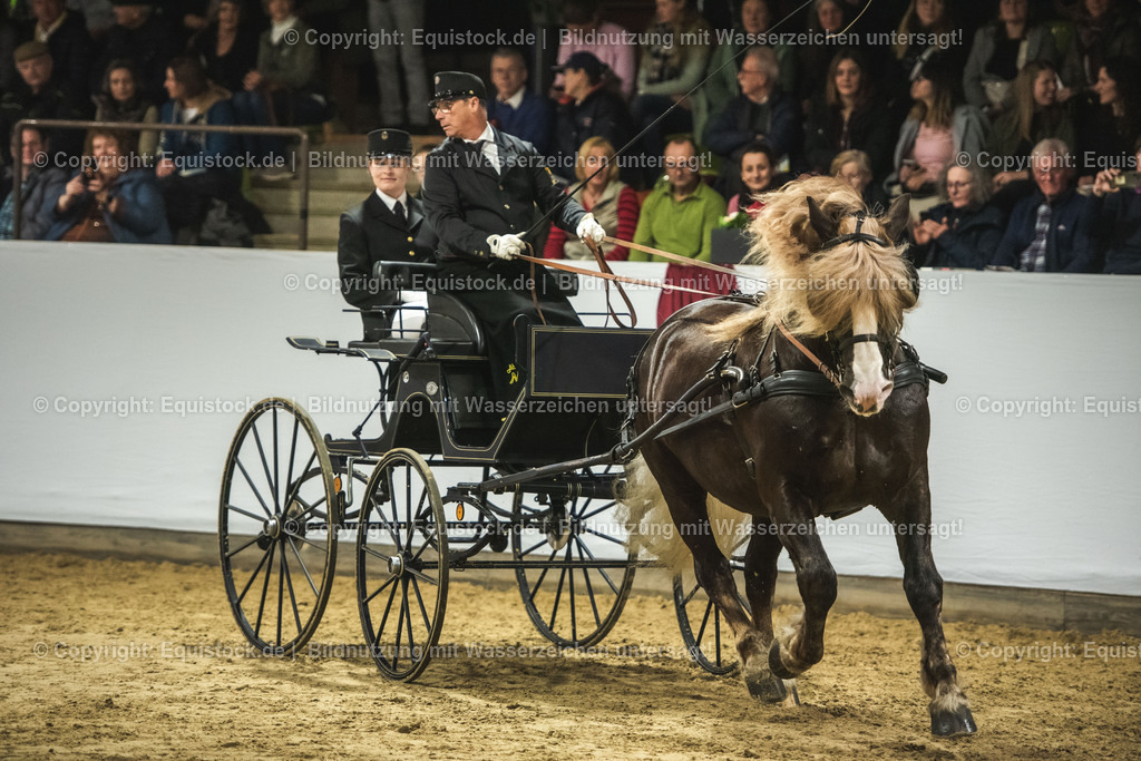 20240302_Hengstvorstellung_Marbach_TOMsPiC_0590 | equistock