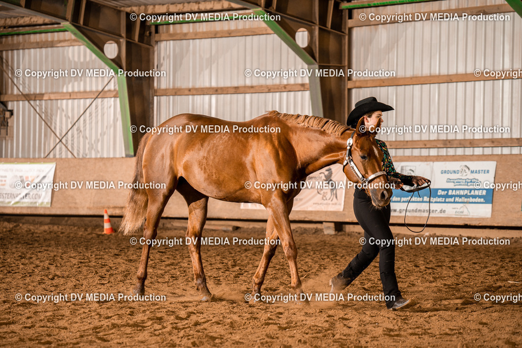 BAL01241 | dv-media-shop - Realisiert mit Pictrs.com