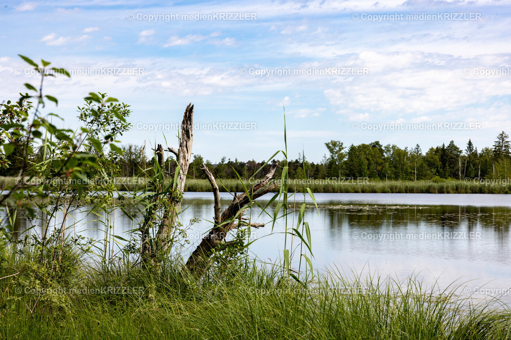 _J3A5412 | medienkrizzler - Realisiert mit Pictrs.com