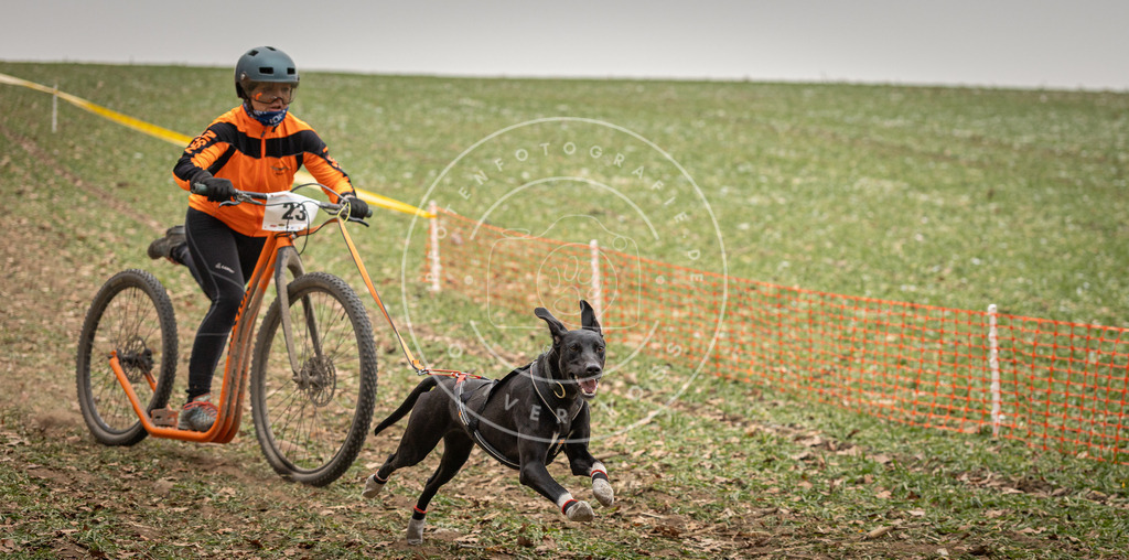 Pfotenfotografie_DV3A3762 | Hundefotografie, Tierfotograf, Pfotenfotografie, Fotoshooting Hund, Hunde Portrait, Hundesport, Hundeportraits, Heideshooting, Hunde, Sportfotograf, Hundefotograf, Turnierhundsport, THS,  - Realisiert mit Pictrs.com