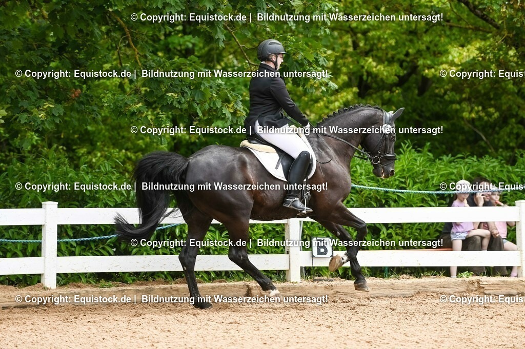 20230716_03_Dressurprfg. Kl.L - Tr._0209 | equistock