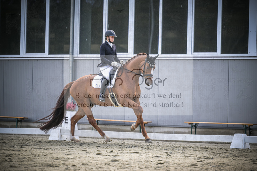 DOS_1047 | Entdecke hochwertige Reitturnierfotos von Foto Oger. Professionell, emotional und authentisch – jetzt Lieblingsmomente im Shop bestellen.Deutschlandweite Turnierfotografie. - Realisiert mit Pictrs.com