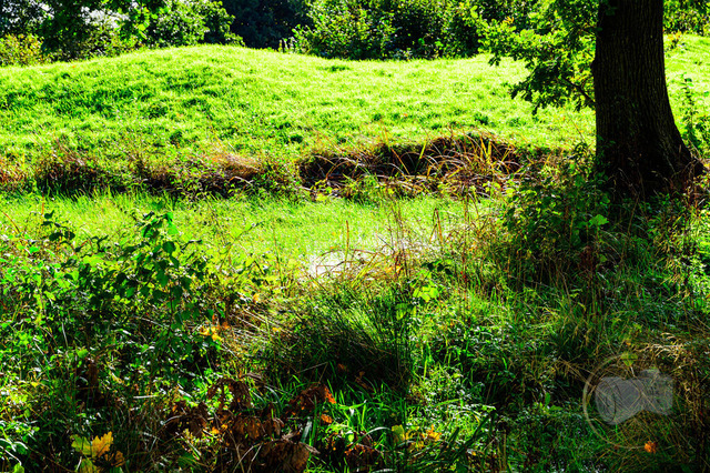 _DSC3087-2 | Shop für Prints Landschaftsfotografie Sächsische Schweiz Naturfotografie in Thüringen Fotos vom Findlingspark Nochten Kloster Sankt Marienstern Bilder Festung Königstein PanoramaRhododendronpark Kromlau FotogalerSchleswig-Holstein Küstenlandschaften